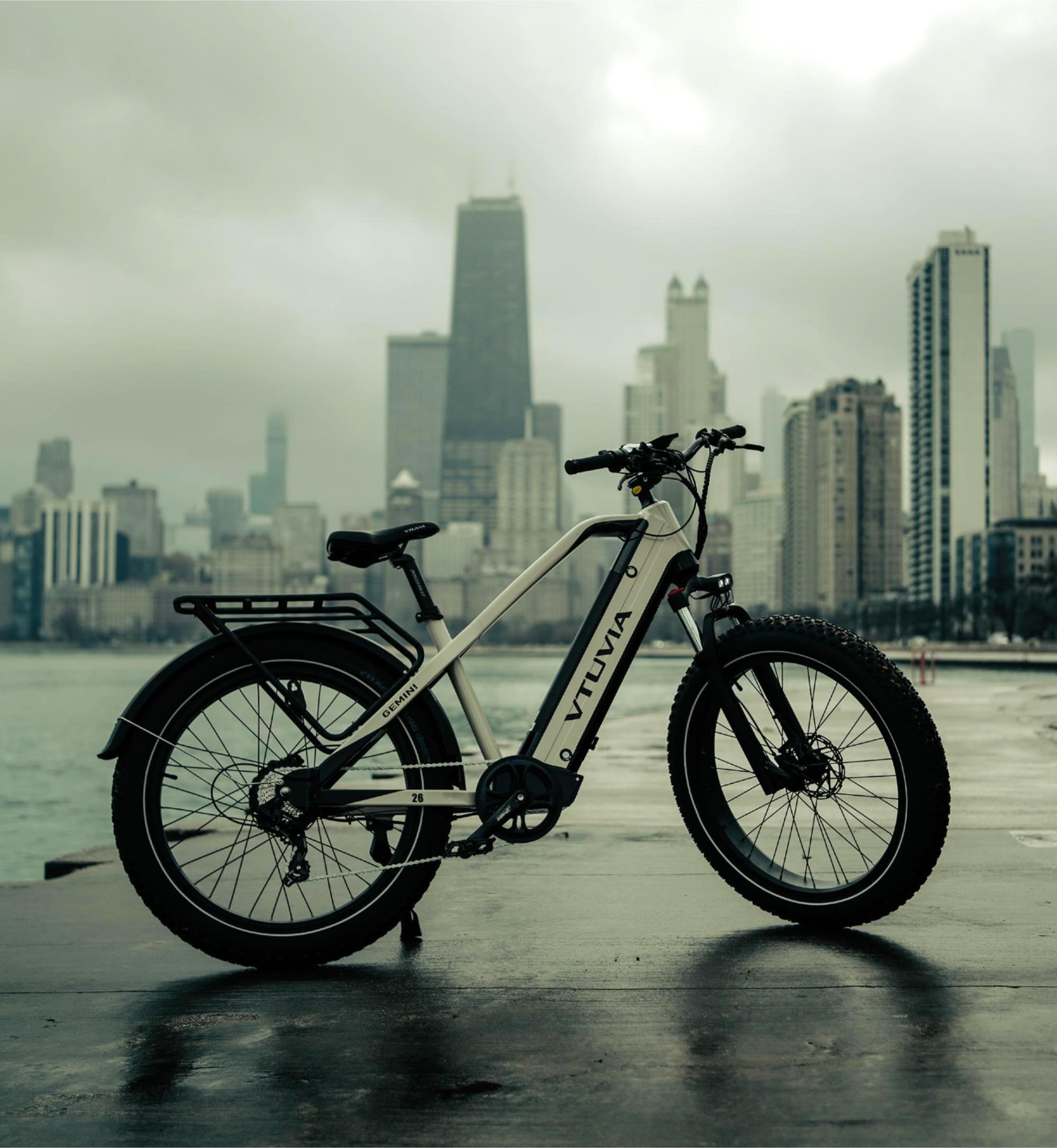 GEMINI 1000W Electric Bikes | VTUVIA