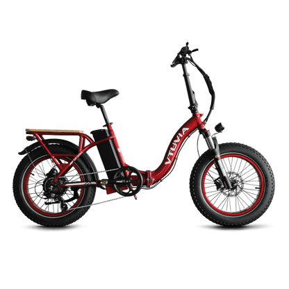 Folding Electric Cargo Bikes | VTUVIA SF20H E-bike 